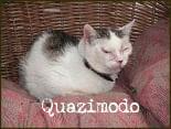 Obrazek