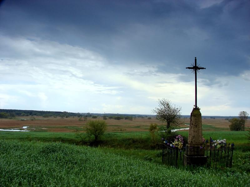 Dołączona grafika