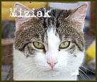 Obrazek