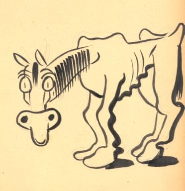 Obrazek