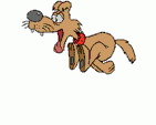 Obrazek