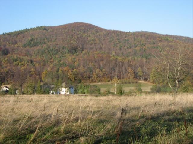 Obrazek