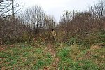 http://images33.fotosik.pl/406/b3abc795af09ab8dm.jpg