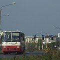 Ikarus 280.26 #795