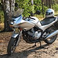 Yamaha XJ600 Diversion