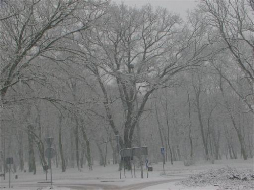 w końcu nadeszła...