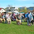 Częstochowa 2007