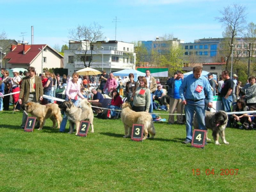 Częstochowa 2007