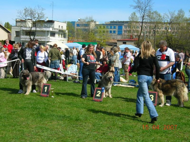 Częstochowa 2007