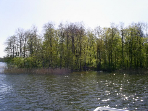 fotki z rejsu Giżycko - Mikołajki (Jezioro Niegocin) odbytego w maju 2007. Było ładnie, chociaż chłodno. Zawsze będę wracał do tego dnia #Niegocin #Mikołajki #Gizycko