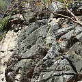 Grutas de Cacahuamilpa (Guerrero, Mexico) #GrutasDeCacahuamilpa