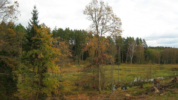 październik 2007