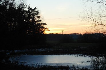 #chwaszczyno #kawle #zachód #drzewa #las #droga #bajorko #bajoro #jezioro