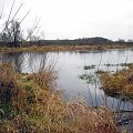 rz.Narew