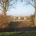 rz.Narew