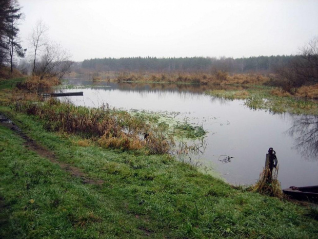 rz.Narew