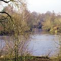rz,Narew