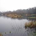 rz.Narew