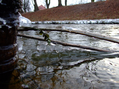 Lód na rzece Łebie #Rzeka #Lód #Zima