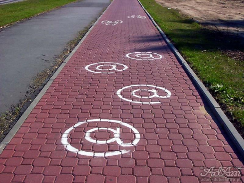 Małpy na ścieżce
