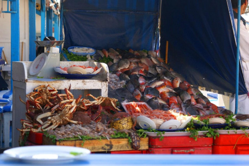 Essaouira - port /rybki złowione w nocy/