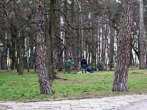 Porządkowanie parku przed nadejciem zimy