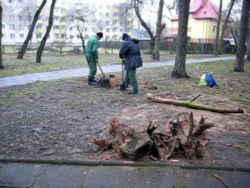 Porządkowanie parku przed nadejściem zimy