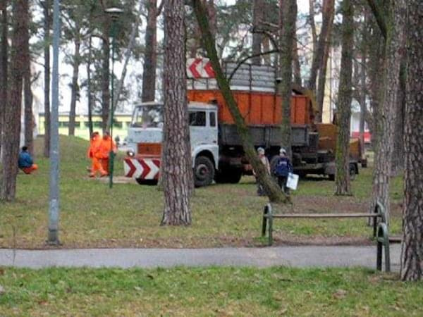 Porządkowenie parku przed nadejściem zimy