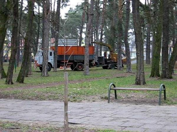 Porządkowenie parku przed nadejściem zimy