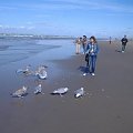 Morze Polnocne-Nordwijk