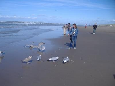 Morze Polnocne-Nordwijk