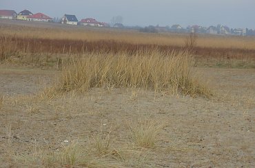 #rewa #mechelinki #szperk #ZatokaPucka #ZatokaGdańska #rybacy