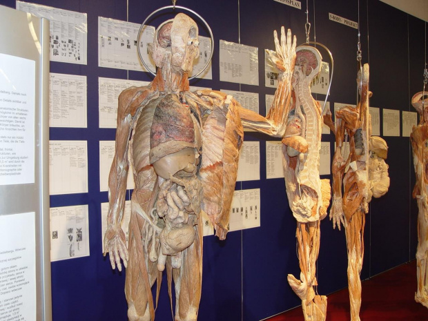 PLASTINARIUM w GUBEN