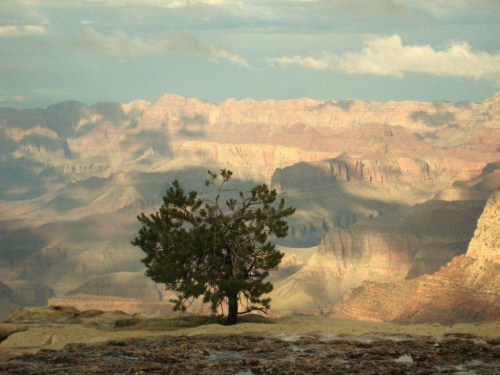 Wielki Kanion Kolorado (Arizona)