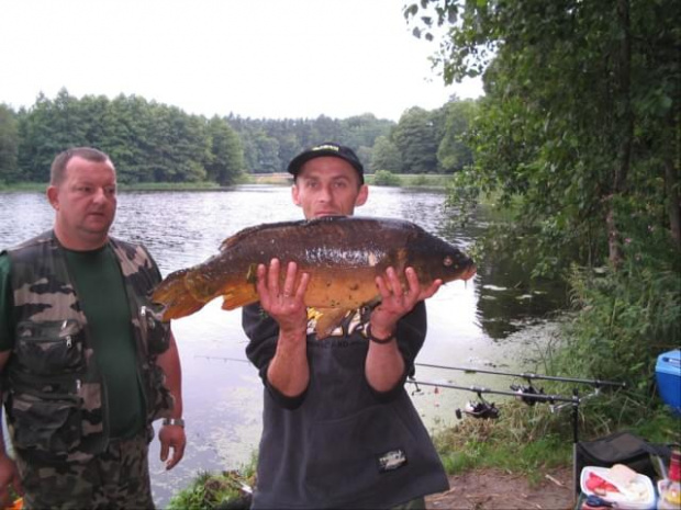 Karp 11,5 kg