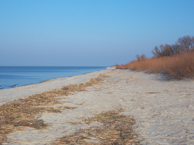 Kadyny - plaża #plaża