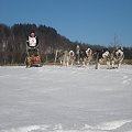 Zaprzęg Marka Miętusa