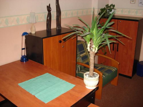 Zestaw biurowy: - biurko wyższe (CENA: 160 zł) - biurko niższe (CENA: 160 zł) - szafa na dokumenty (CENA: 170 zł) - mała szafka (CENA: 60 zł) - fotel skórzany (GRATIS przy zakupie całego zestawu) #Zestaw #fotel #szafa #szafka #biurko #kupię