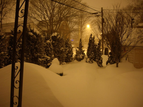 13 lutego 2008 - zima trzyma sie mocno ! #Toronto #zima