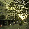 Ulica na której znajduje się blblioteka: Anzac pd.
(Sydney, Maroubra)