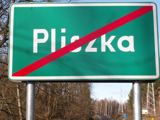 #pliszka