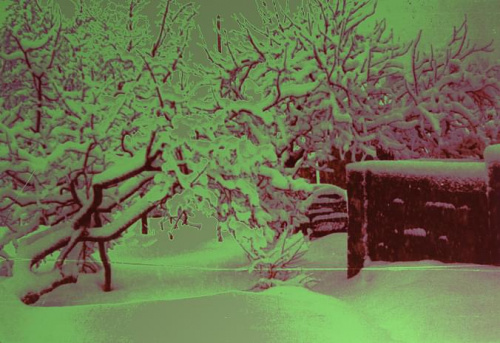 Zimowa bajka, Djakovica, Kosovo, lata siedemdziesiąte #zima #Kosovo #podwórko #śnieg