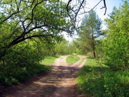 To co otacza zabytkową starą drogę