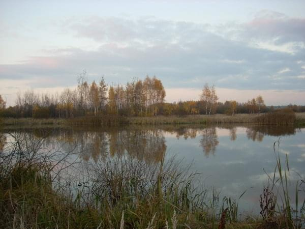 te obszary wkrótce zostaną poddane pod zalew Wileowieś Klasztorna