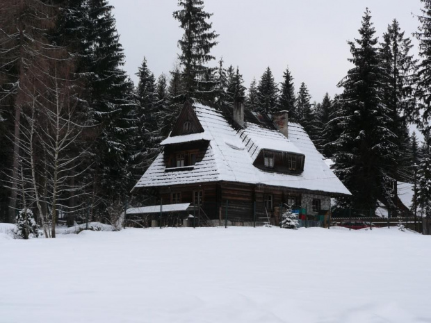 Jeden z wielu domków w lesie w Murzasichle #widoczki #zima #ferie