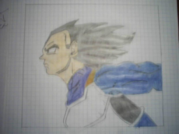 vegeta