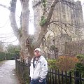 Zamek w Blarney #Blayrney