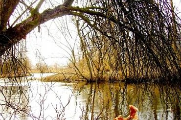 #natura #przyroda #rzeka #krajobraz #zima