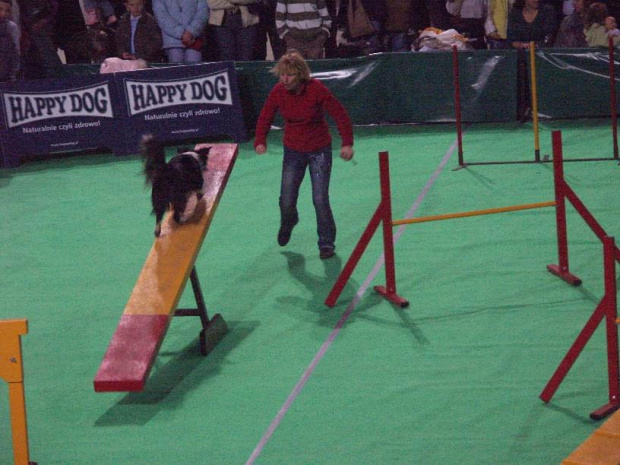 agility