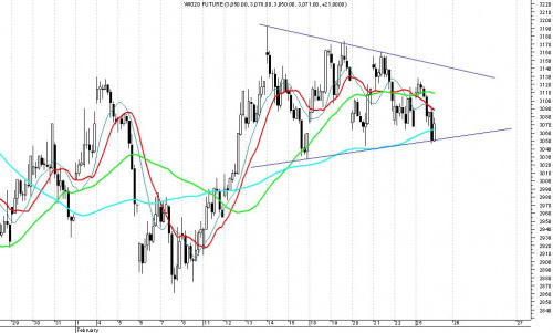 FW20 - 60min co dla byka :)